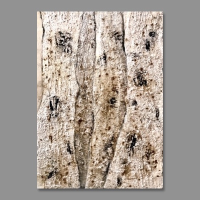 Christiana Sieben: Betula (70 x 50 cm, Canvas, mixed media)